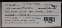 Image Associated With the Occurence